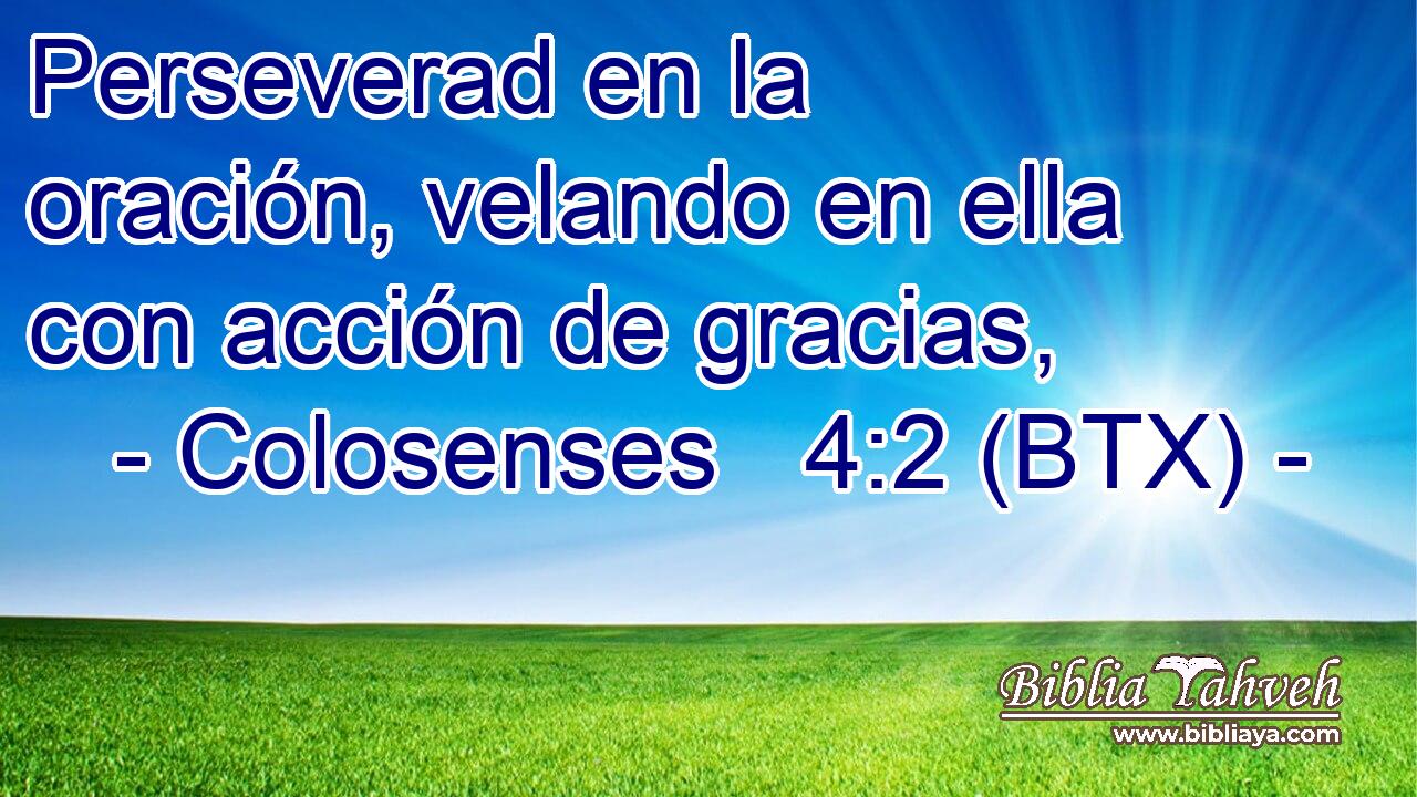 Perseverad en la oración, velando en ella con acción de gracias,