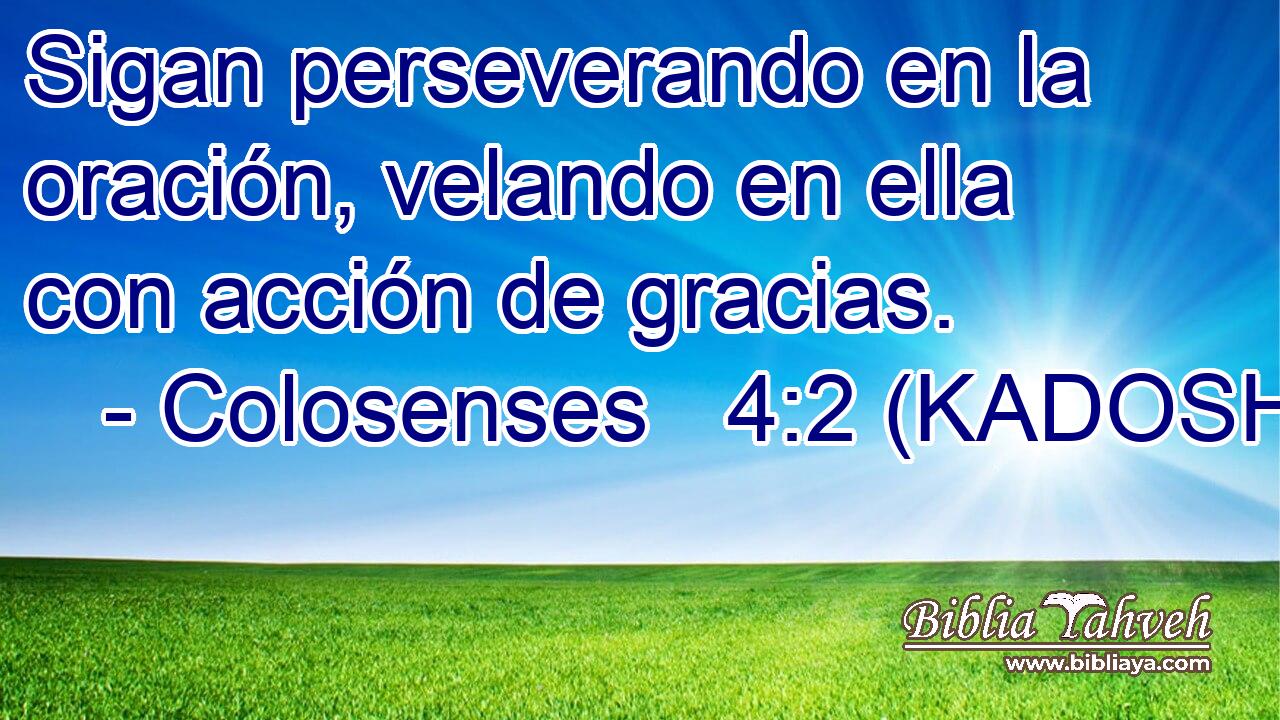  Sigan perseverando en la oración, velando en ella con acción de gracias. 