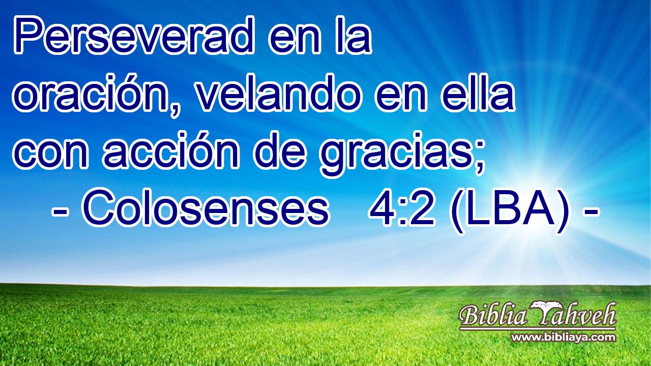 Perseverad en la oración, velando en ella con acción de gracias;