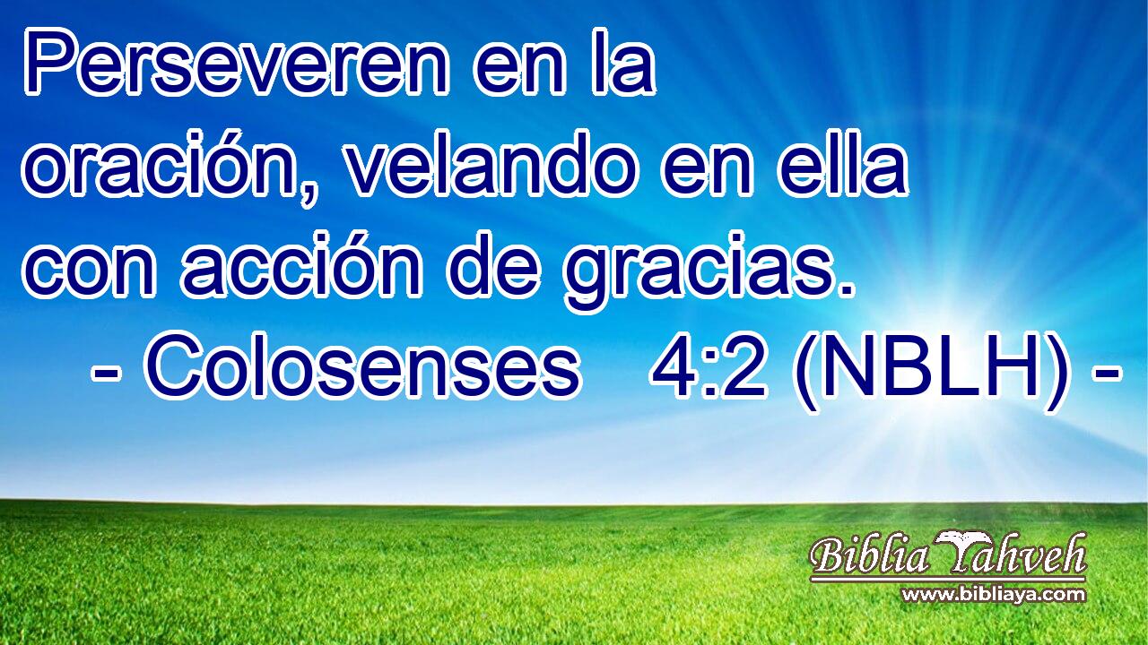  Perseveren en la oración, velando en ella con acción de gracias. 