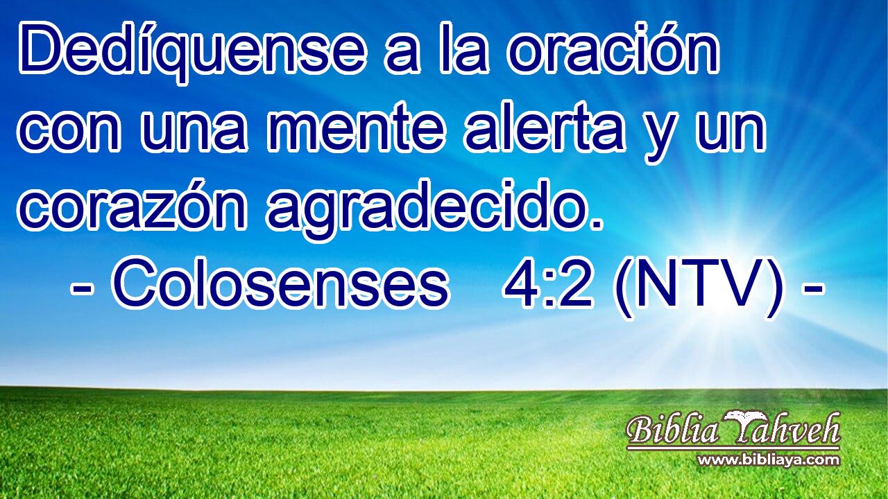 Dedíquense a la oración con una mente alerta y un corazón agradecido.