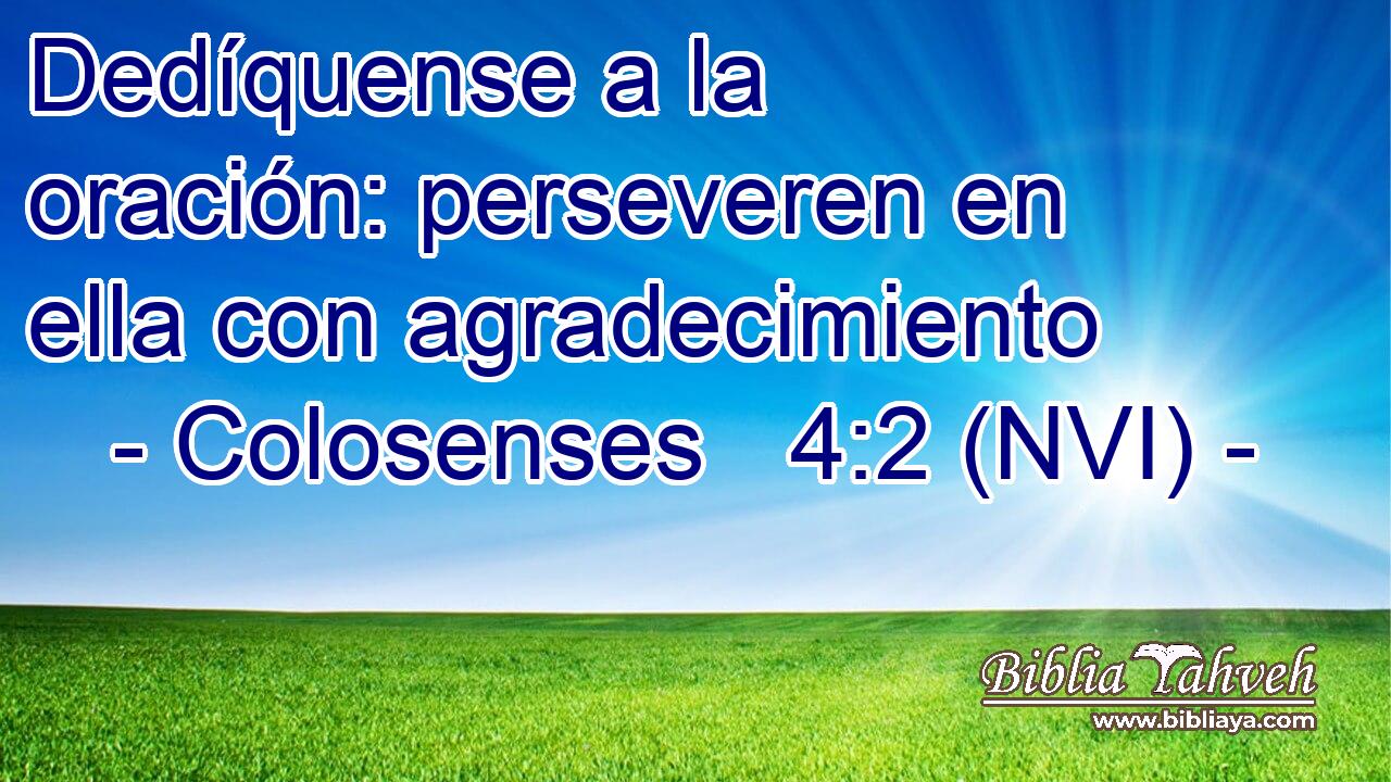  Dedíquense a la oración: perseveren en ella con agradecimiento 