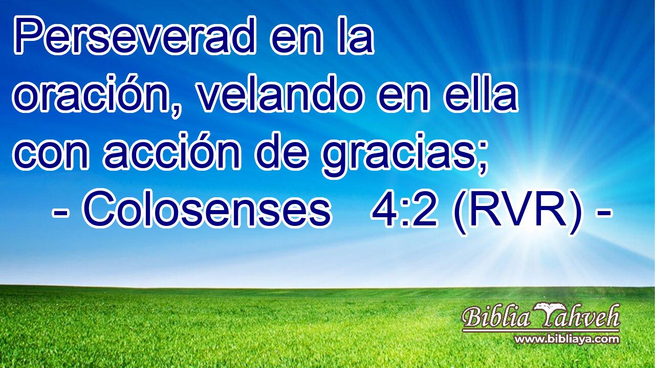 Perseverad en la oración, velando en ella con acción de gracias;