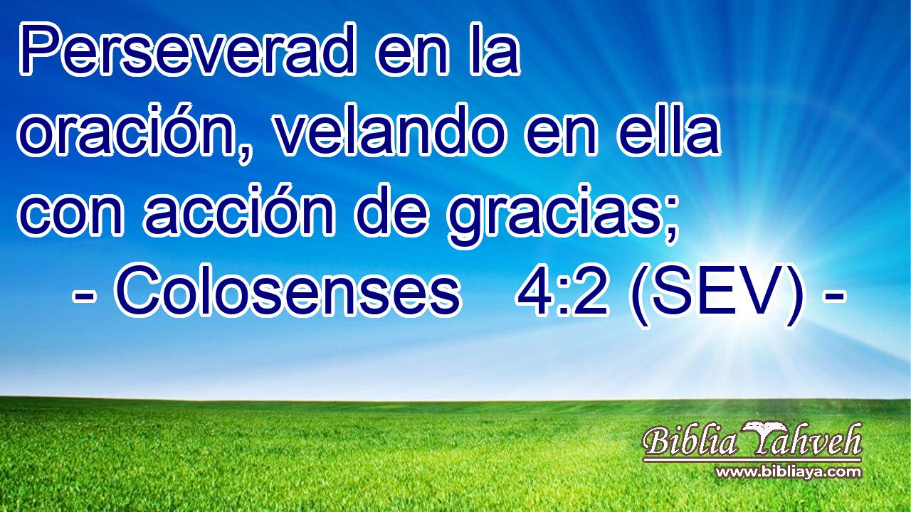 Perseverad en la oración, velando en ella con acción de gracias;