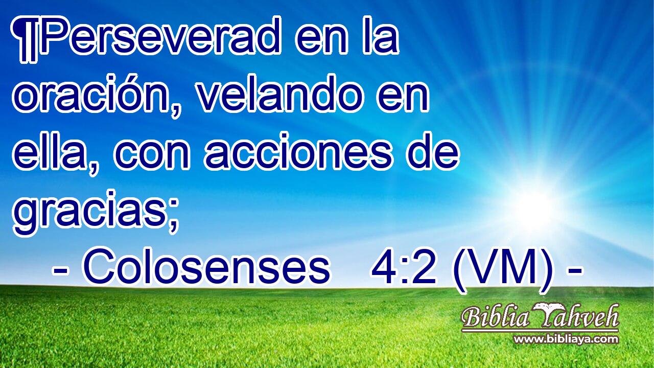  ¶Perseverad en la oración, velando en ella, con acciones de gracias; 
