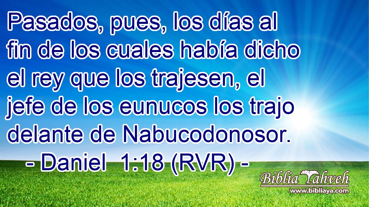 Pasados, pues, los días al fin de los cuales había dicho el rey que los trajesen, el jefe de los eunucos los trajo delante de Nabucodonosor.