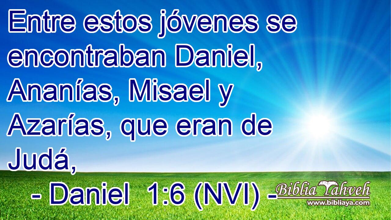  Entre estos jóvenes se encontraban Daniel, Ananías, Misael y Azarías, que eran de Judá, 