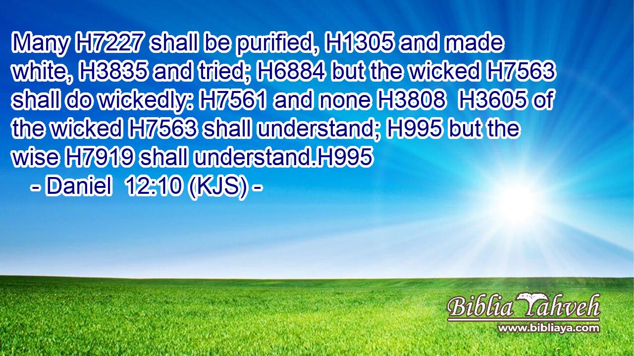 Many H7227 shall be purified, H1305 and made white, H3835 and tried; H6884 but the wicked H7563 shall do wickedly: H7561 and none H3808  H3605 of the wicked H7563 shall understand; H995 but the wise H7919 shall understand.H995