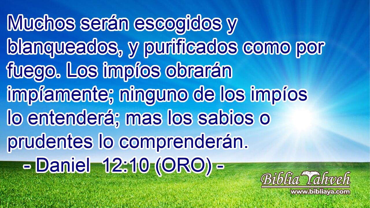  Muchos serán escogidos y blanqueados, y purificados como por fuego. Los impíos obrarán impíamente; ninguno de los impíos lo entenderá; mas los sabios o prudentes lo comprenderán. 