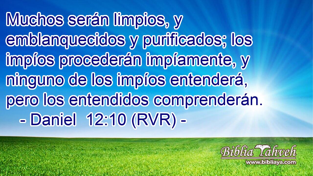 Muchos serán limpios, y emblanquecidos y purificados; los impíos procederán impíamente, y ninguno de los impíos entenderá, pero los entendidos comprenderán.