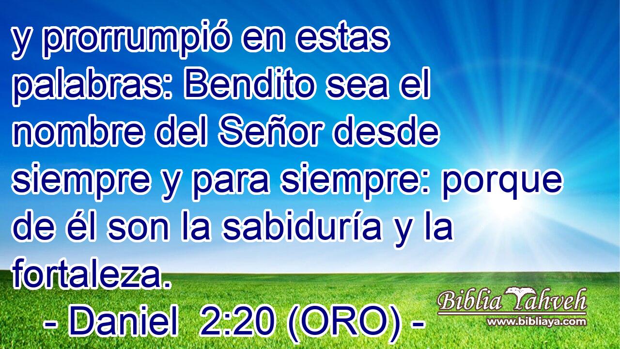  y prorrumpió en estas palabras: Bendito sea el nombre del Señor desde siempre y para siempre: porque de él son la sabiduría y la fortaleza. 