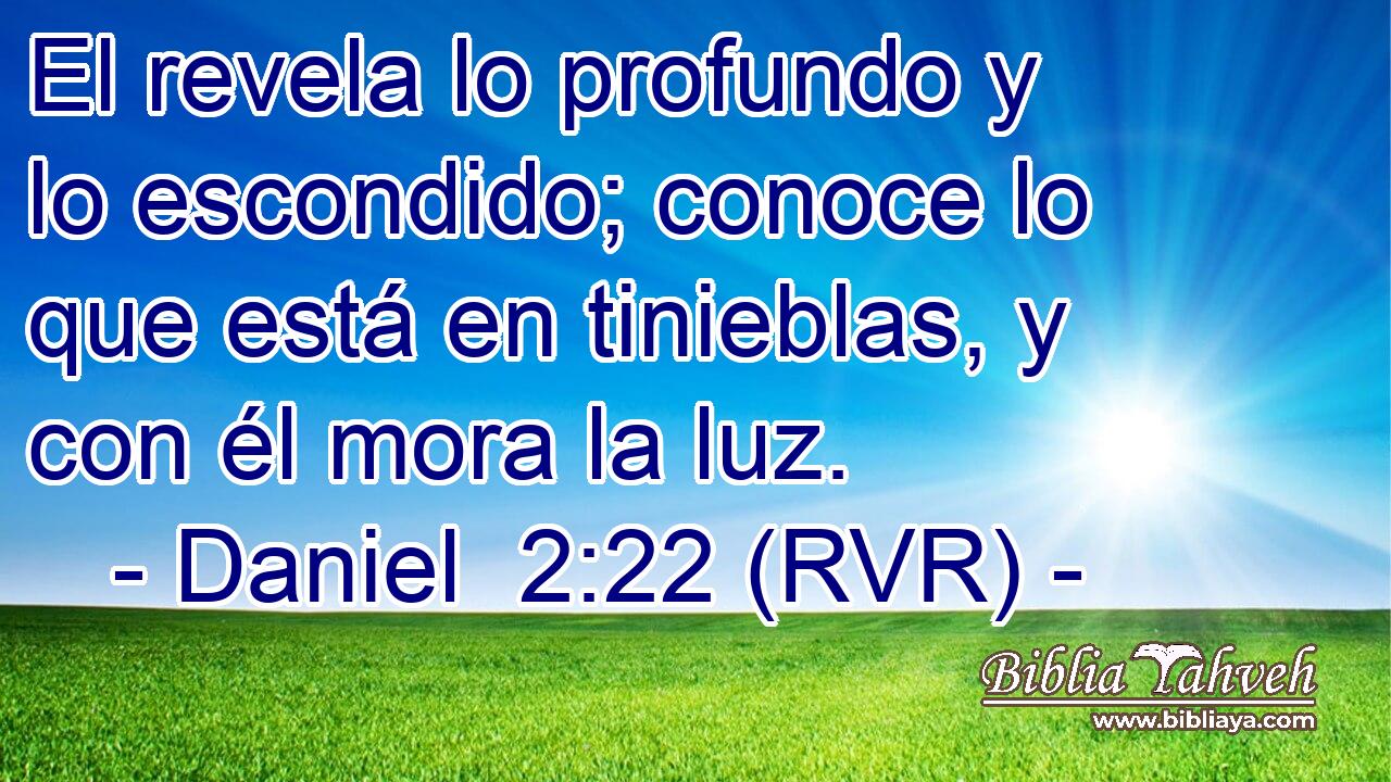 El revela lo profundo y lo escondido; conoce lo que está en tinieblas, y con él mora la luz.