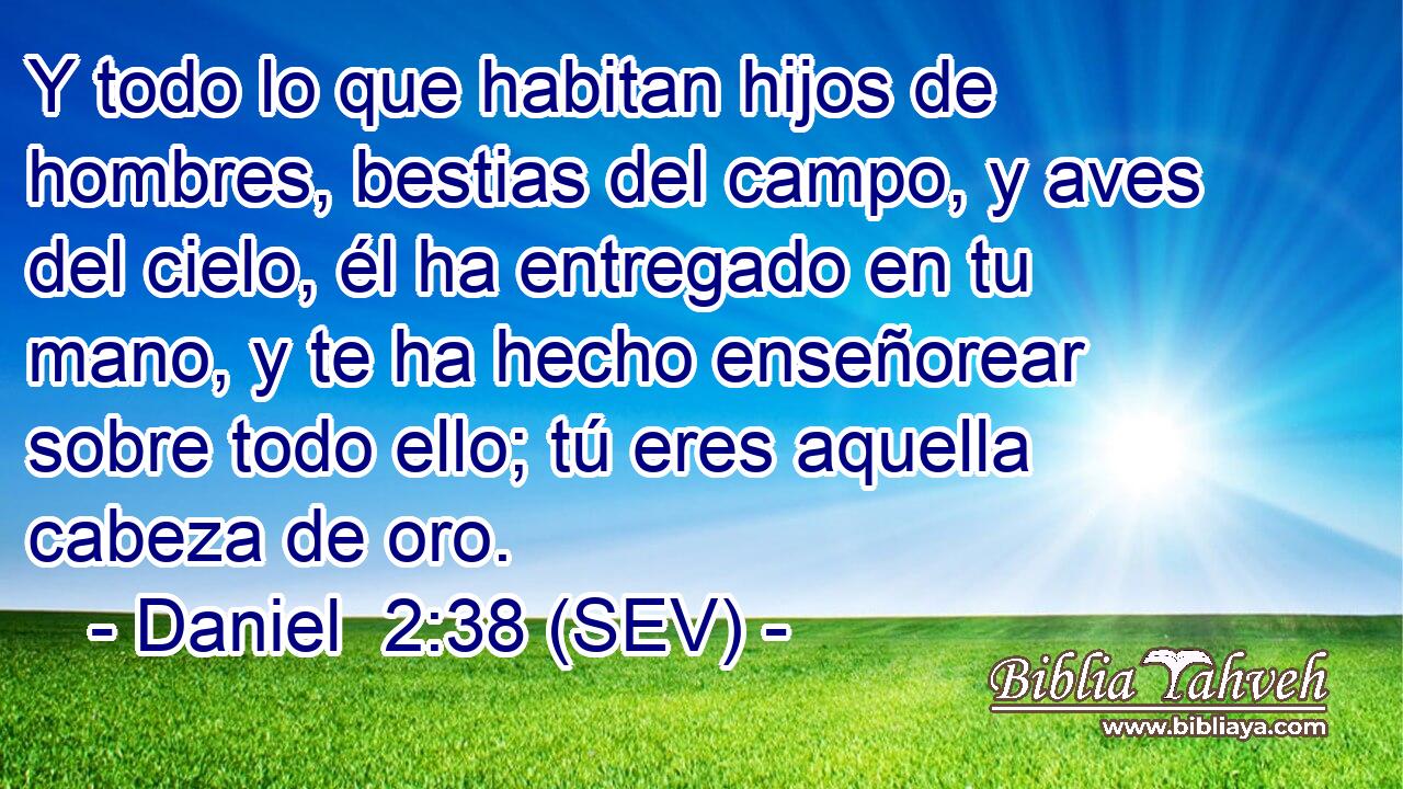 Y todo lo que habitan hijos de hombres, bestias del campo, y aves del cielo, él ha entregado en tu mano, y te ha hecho enseñorear sobre todo ello; tú eres aquella cabeza de oro.