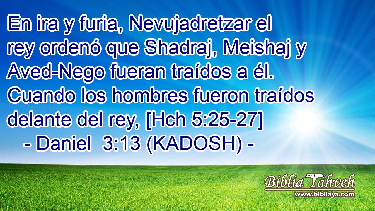  En ira y furia, Nevujadretzar el rey ordenó que Shadraj, Meishaj y Aved-Nego fueran traídos a él. Cuando los hombres fueron traídos delante del rey, [Hch 5:25-27] 