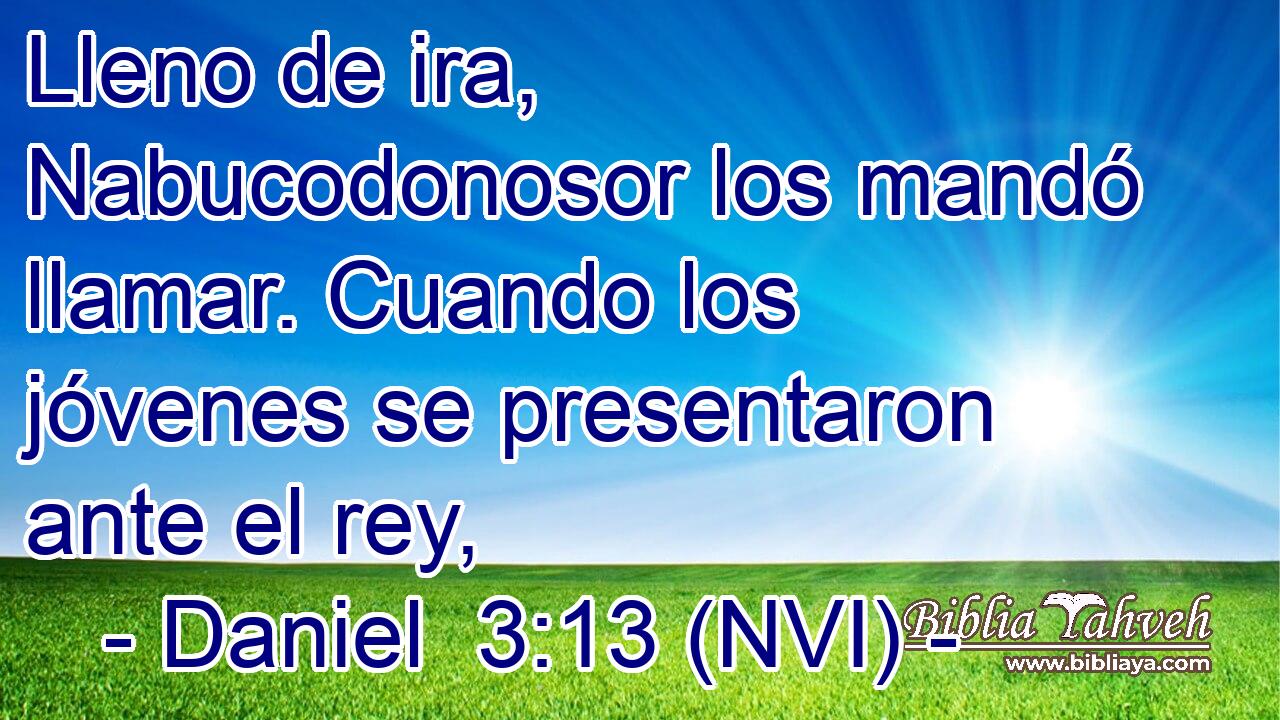  Lleno de ira, Nabucodonosor los mandó llamar. Cuando los jóvenes se presentaron ante el rey, 