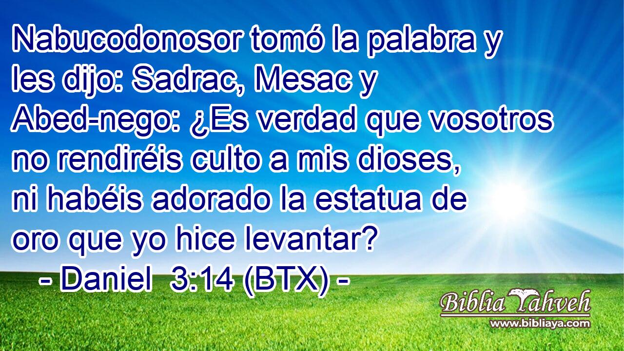 Nabucodonosor tomó la palabra y les dijo: Sadrac, Mesac y Abed-nego: ¿Es verdad que vosotros no rendiréis culto a mis dioses, ni habéis adorado la estatua de oro que yo hice levantar?