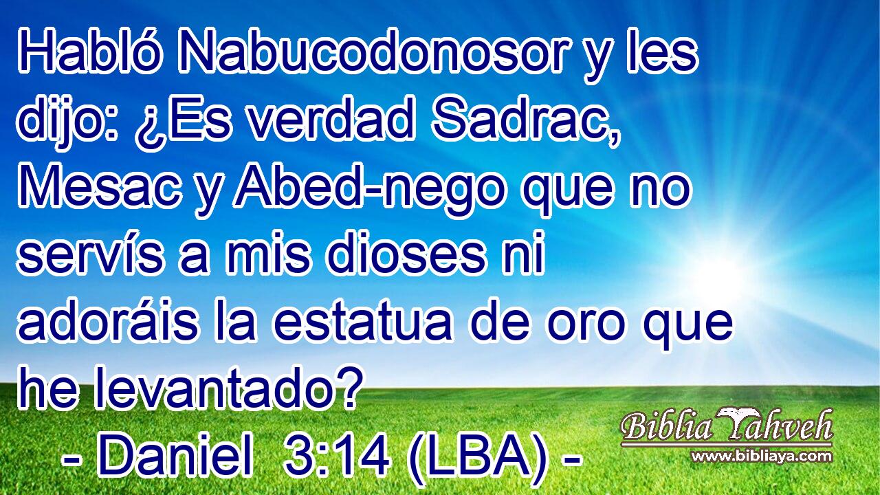 Habló Nabucodonosor y les dijo: ¿Es verdad Sadrac, Mesac y Abed-nego que no servís a mis dioses ni adoráis la estatua de oro que he levantado?