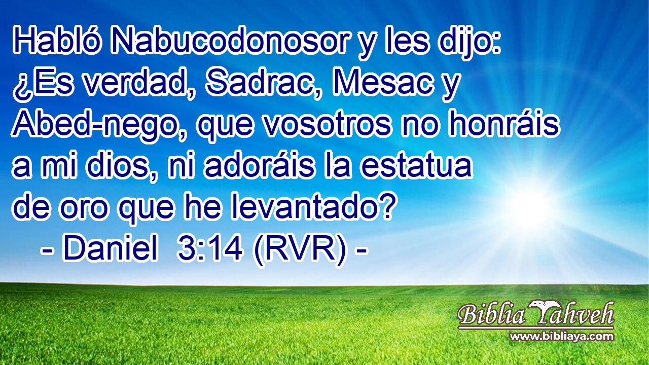 Habló Nabucodonosor y les dijo: ¿Es verdad, Sadrac, Mesac y Abed-nego, que vosotros no honráis a mi dios, ni adoráis la estatua de oro que he levantado?