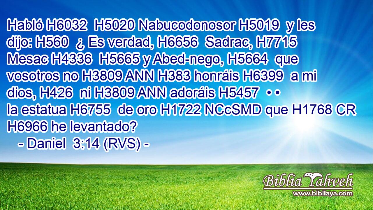 Habló H6032  H5020 Nabucodonosor H5019  y les dijo: H560  ¿ Es verdad, H6656  Sadrac, H7715  Mesac H4336  H5665 y Abed-nego, H5664  que vosotros no H3809 ANN H383 honráis H6399  a mi dios, H426  ni H3809 ANN adoráis H5457  • • la estatua H6755  de oro H1722 NCcSMD que H1768 CR H6966 he levantado? 