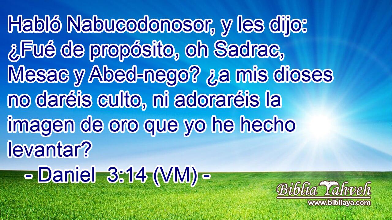  Habló Nabucodonosor, y les dijo: ¿Fué de propósito, oh Sadrac, Mesac y Abed-nego? ¿a mis dioses no daréis culto, ni adoraréis la imagen de oro que yo he hecho levantar? 