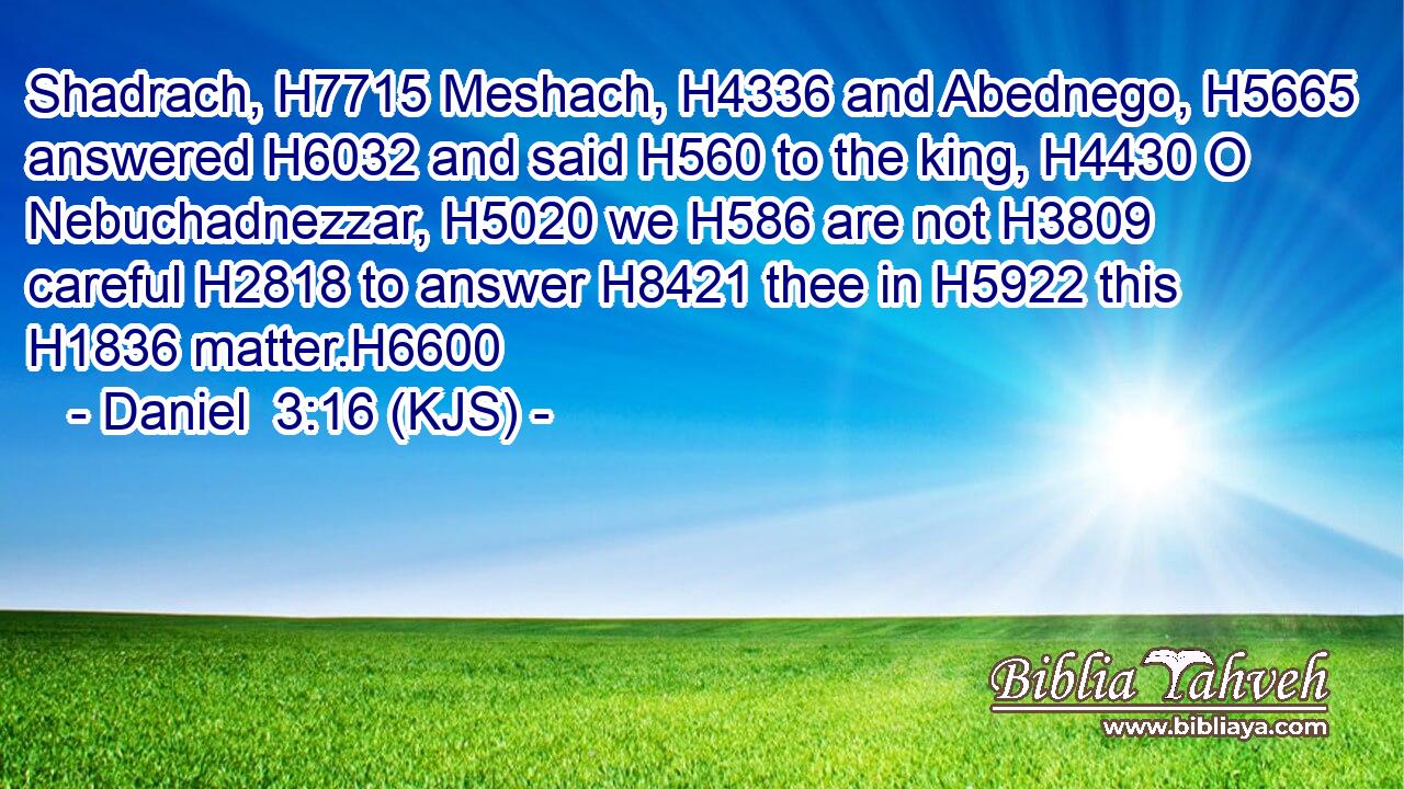 Shadrach, H7715 Meshach, H4336 and Abednego, H5665 answered H6032 and said H560 to the king, H4430 O Nebuchadnezzar, H5020 we H586 are not H3809 careful H2818 to answer H8421 thee in H5922 this H1836 matter.H6600