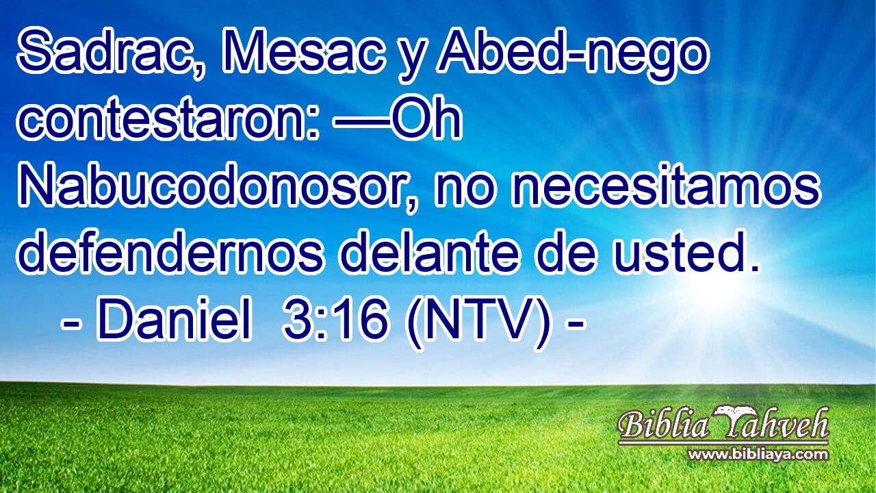 Sadrac, Mesac y Abed-nego contestaron: —Oh Nabucodonosor, no necesitamos defendernos delante de usted.