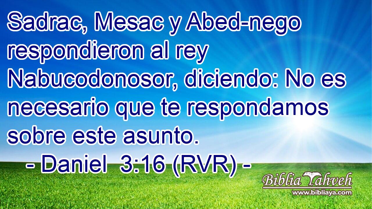 Sadrac, Mesac y Abed-nego respondieron al rey Nabucodonosor, diciendo: No es necesario que te respondamos sobre este asunto.