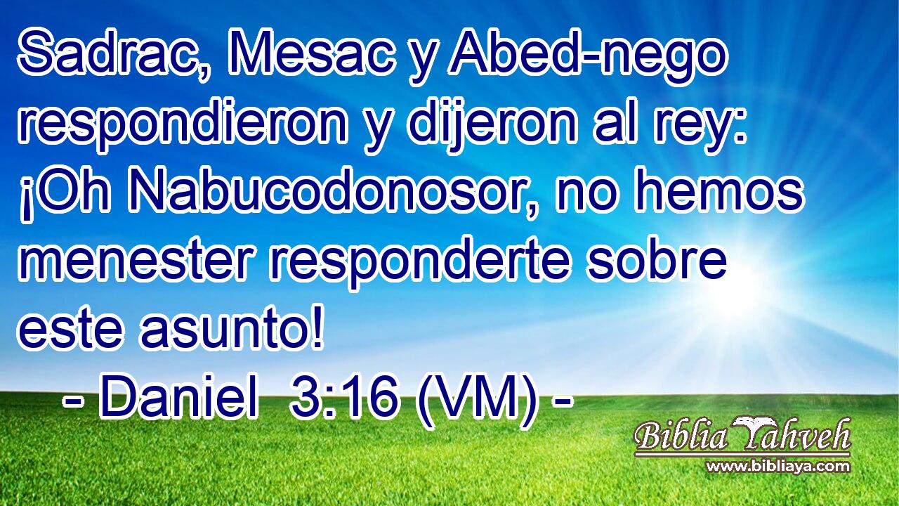  Sadrac, Mesac y Abed-nego respondieron y dijeron al rey: ¡Oh Nabucodonosor, no hemos menester responderte sobre este asunto! 