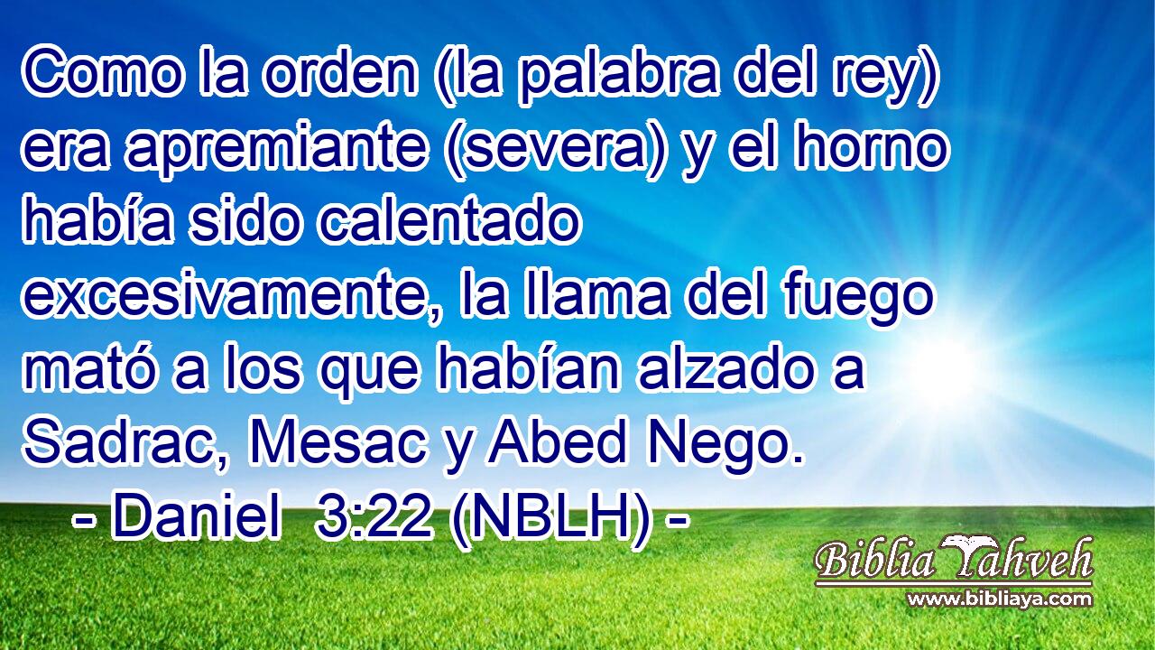  Como la orden (la palabra del rey) era apremiante (severa) y el horno había sido calentado excesivamente, la llama del fuego mató a los que habían alzado a Sadrac, Mesac y Abed Nego. 