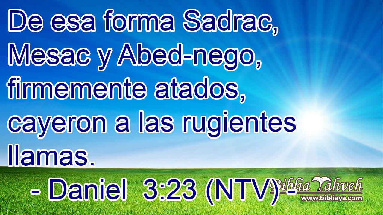 De esa forma Sadrac, Mesac y Abed-nego, firmemente atados, cayeron a las rugientes llamas.