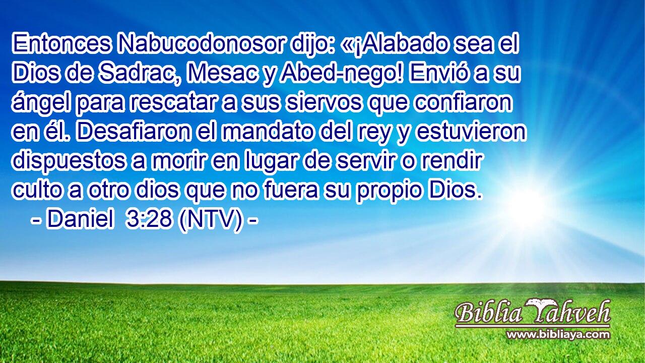 Entonces Nabucodonosor dijo: «¡Alabado sea el Dios de Sadrac, Mesac y Abed-nego! Envió a su ángel para rescatar a sus siervos que confiaron en él. Desafiaron el mandato del rey y estuvieron dispuestos a morir en lugar de servir o rendir culto a otro dios que no fuera su propio Dios.