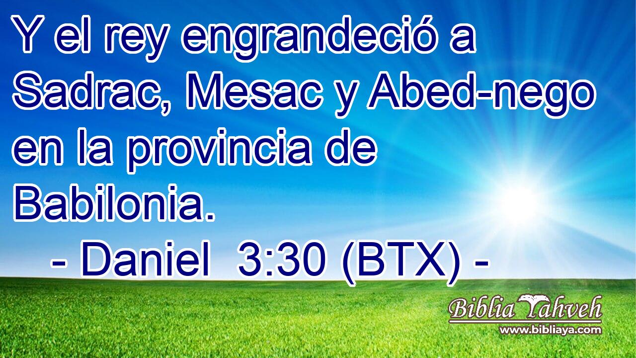 Y el rey engrandeció a Sadrac, Mesac y Abed-nego en la provincia de Babilonia.