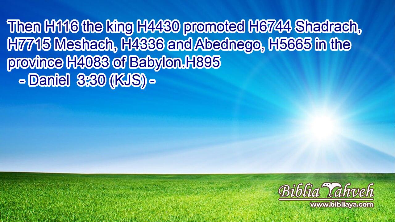 Then H116 the king H4430 promoted H6744 Shadrach, H7715 Meshach, H4336 and Abednego, H5665 in the province H4083 of Babylon.H895