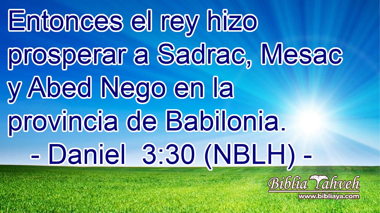  Entonces el rey hizo prosperar a Sadrac, Mesac y Abed Nego en la provincia de Babilonia. 