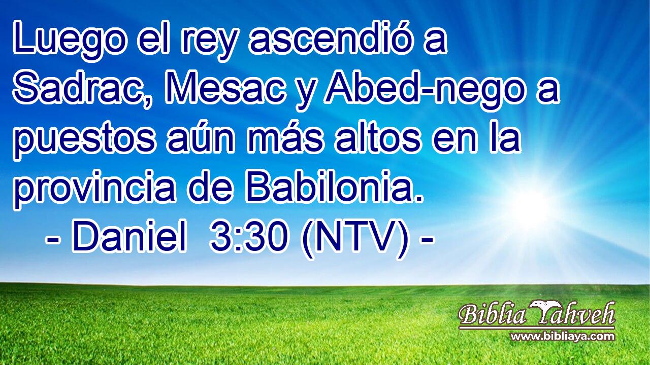 Luego el rey ascendió a Sadrac, Mesac y Abed-nego a puestos aún más altos en la provincia de Babilonia.