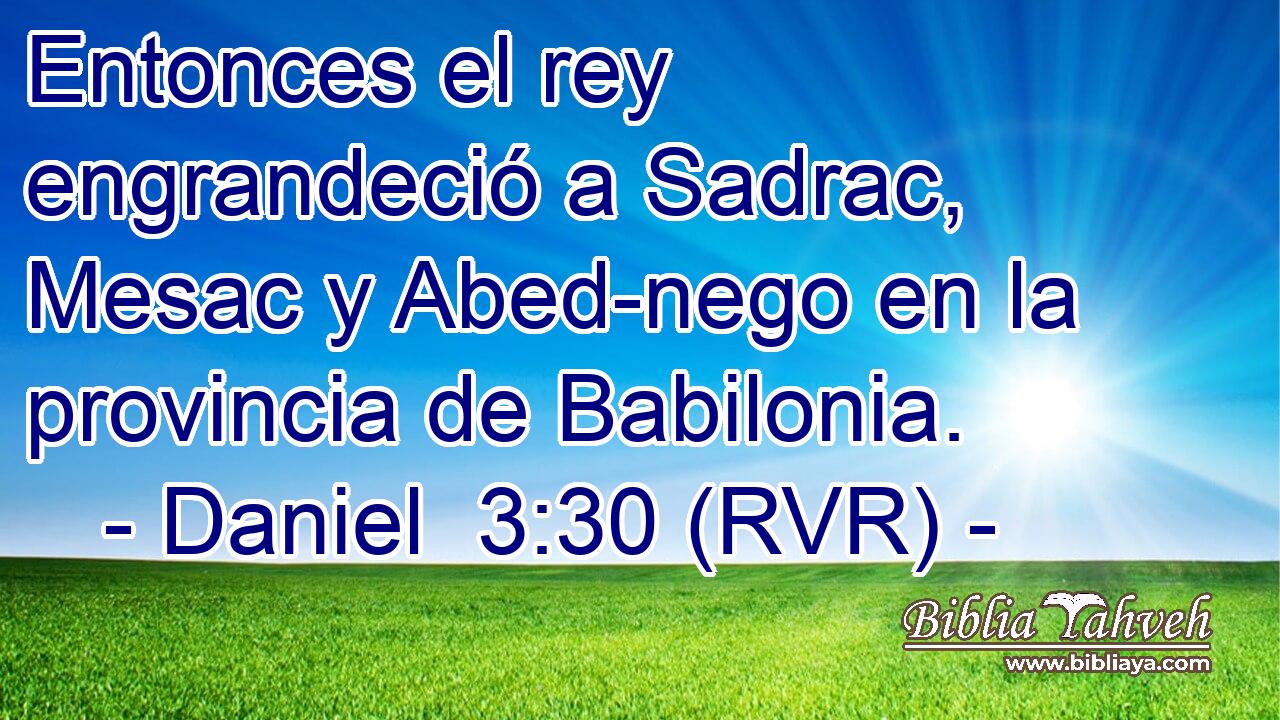 Entonces el rey engrandeció a Sadrac, Mesac y Abed-nego en la provincia de Babilonia.