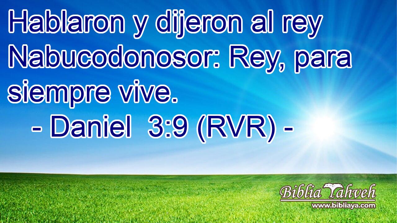 Hablaron y dijeron al rey Nabucodonosor: Rey, para siempre vive.