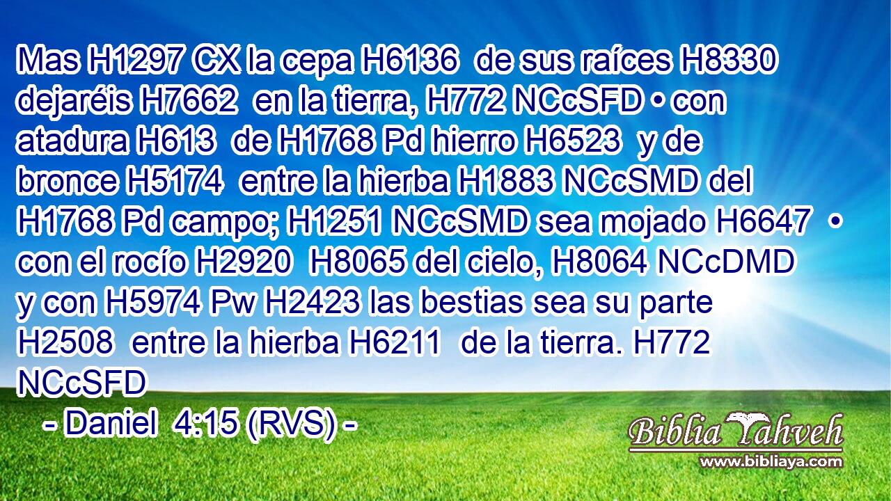 Mas H1297 CX la cepa H6136  de sus raíces H8330  dejaréis H7662  en la tierra, H772 NCcSFD • con atadura H613  de H1768 Pd hierro H6523  y de bronce H5174  entre la hierba H1883 NCcSMD del H1768 Pd campo; H1251 NCcSMD sea mojado H6647  • con el rocío H2920  H8065 del cielo, H8064 NCcDMD y con H5974 Pw H2423 las bestias sea su parte H2508  entre la hierba H6211  de la tierra. H772 NCcSFD 