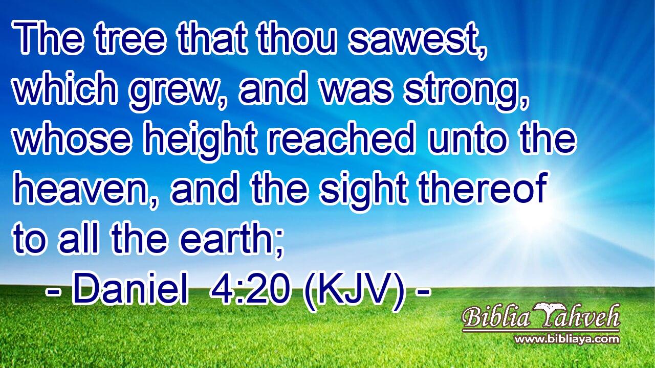 The tree that thou sawest, which grew, and was strong, whose height reached unto the heaven, and the sight thereof to all the earth;