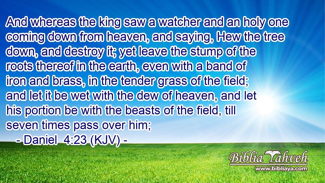 And whereas the king saw a watcher and an holy one coming down from heaven, and saying, Hew the tree down, and destroy it; yet leave the stump of the roots thereof in the earth, even with a band of iron and brass, in the tender grass of the field; and let it be wet with the dew of heaven, and let his portion be with the beasts of the field, till seven times pass over him;