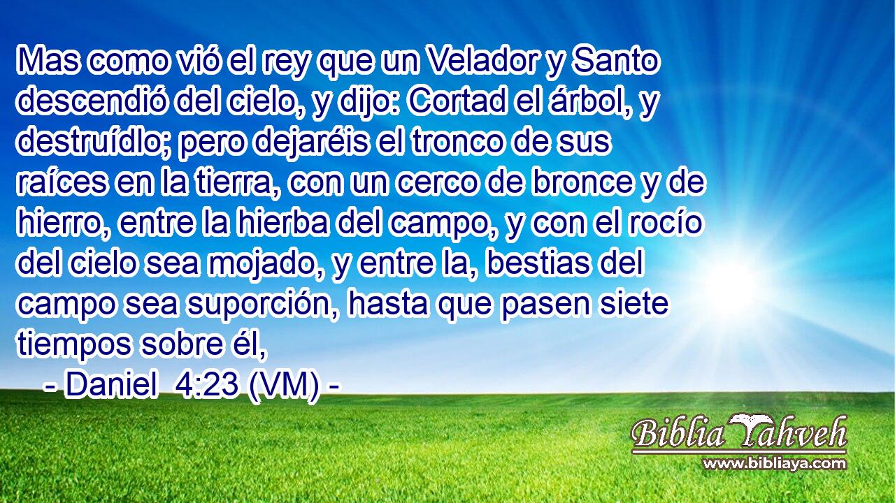 Mas como vió el rey que un Velador y Santo descendió del cielo, y dijo: Cortad el árbol, y destruídlo; pero dejaréis el tronco de sus raíces en la tierra, con un cerco de bronce y de hierro, entre la hierba del campo, y con el rocío del cielo sea mojado, y entre la, bestias del campo sea suporción, hasta que pasen siete tiempos sobre él, 