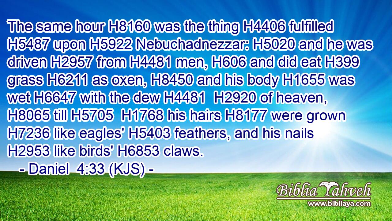 The same hour H8160 was the thing H4406 fulfilled H5487 upon H5922 Nebuchadnezzar: H5020 and he was driven H2957 from H4481 men, H606 and did eat H399 grass H6211 as oxen, H8450 and his body H1655 was wet H6647 with the dew H4481  H2920 of heaven, H8065 till H5705  H1768 his hairs H8177 were grown H7236 like eagles' H5403 feathers, and his nails H2953 like birds' H6853 claws.