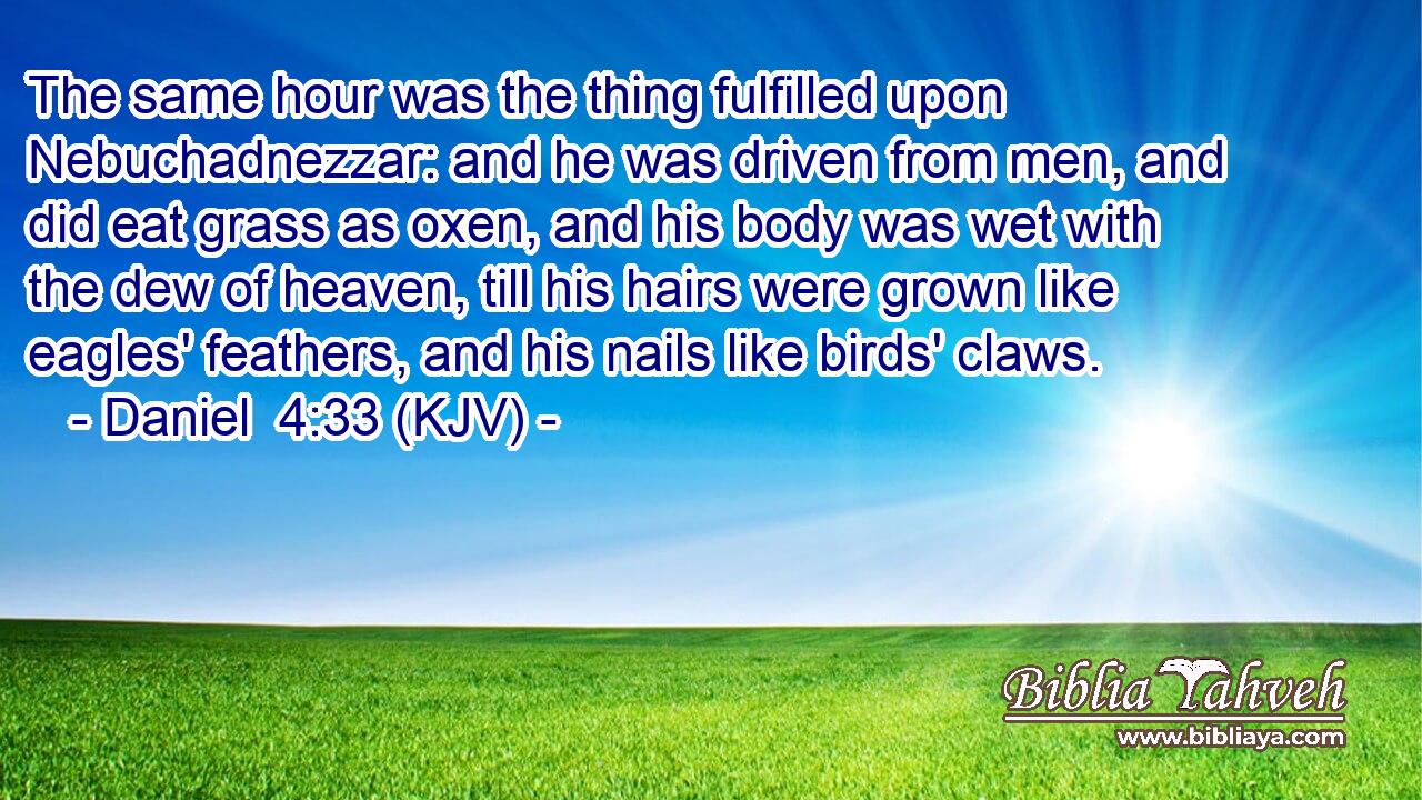 The same hour was the thing fulfilled upon Nebuchadnezzar: and he was driven from men, and did eat grass as oxen, and his body was wet with the dew of heaven, till his hairs were grown like eagles' feathers, and his nails like birds' claws.