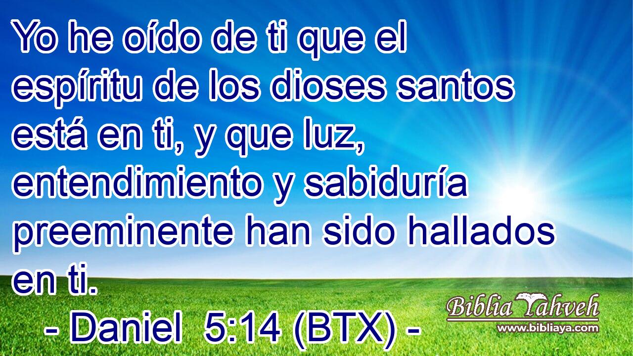 Yo he oído de ti que el espíritu de los dioses santos está en ti, y que luz, entendimiento y sabiduría preeminente han sido hallados en ti.