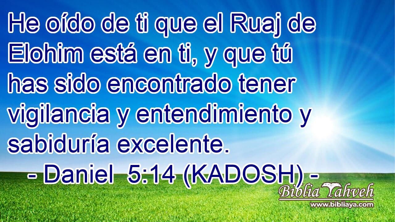  He oído de ti que el Ruaj de Elohim está en ti, y que tú has sido encontrado tener vigilancia y entendimiento y sabiduría excelente. 