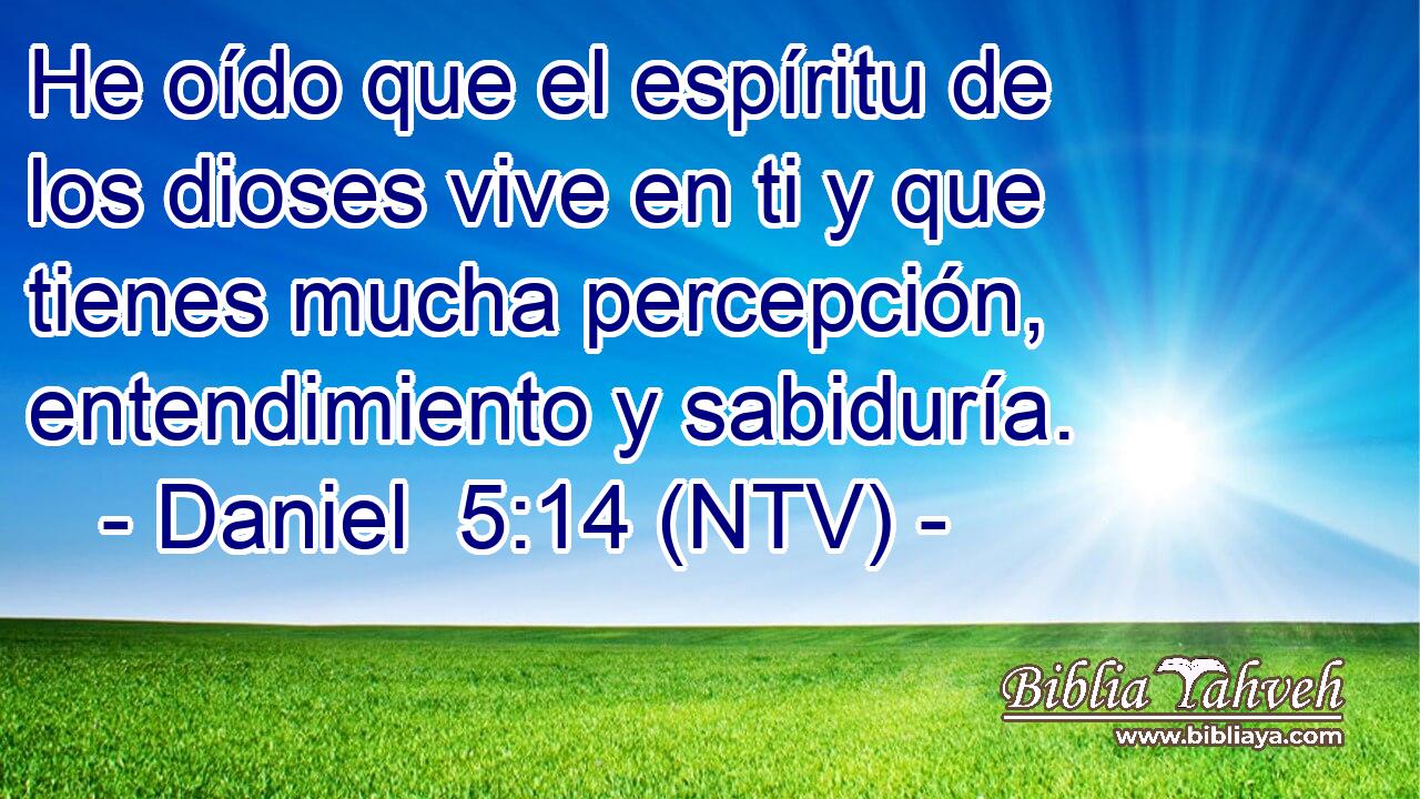 He oído que el espíritu de los dioses vive en ti y que tienes mucha percepción, entendimiento y sabiduría.