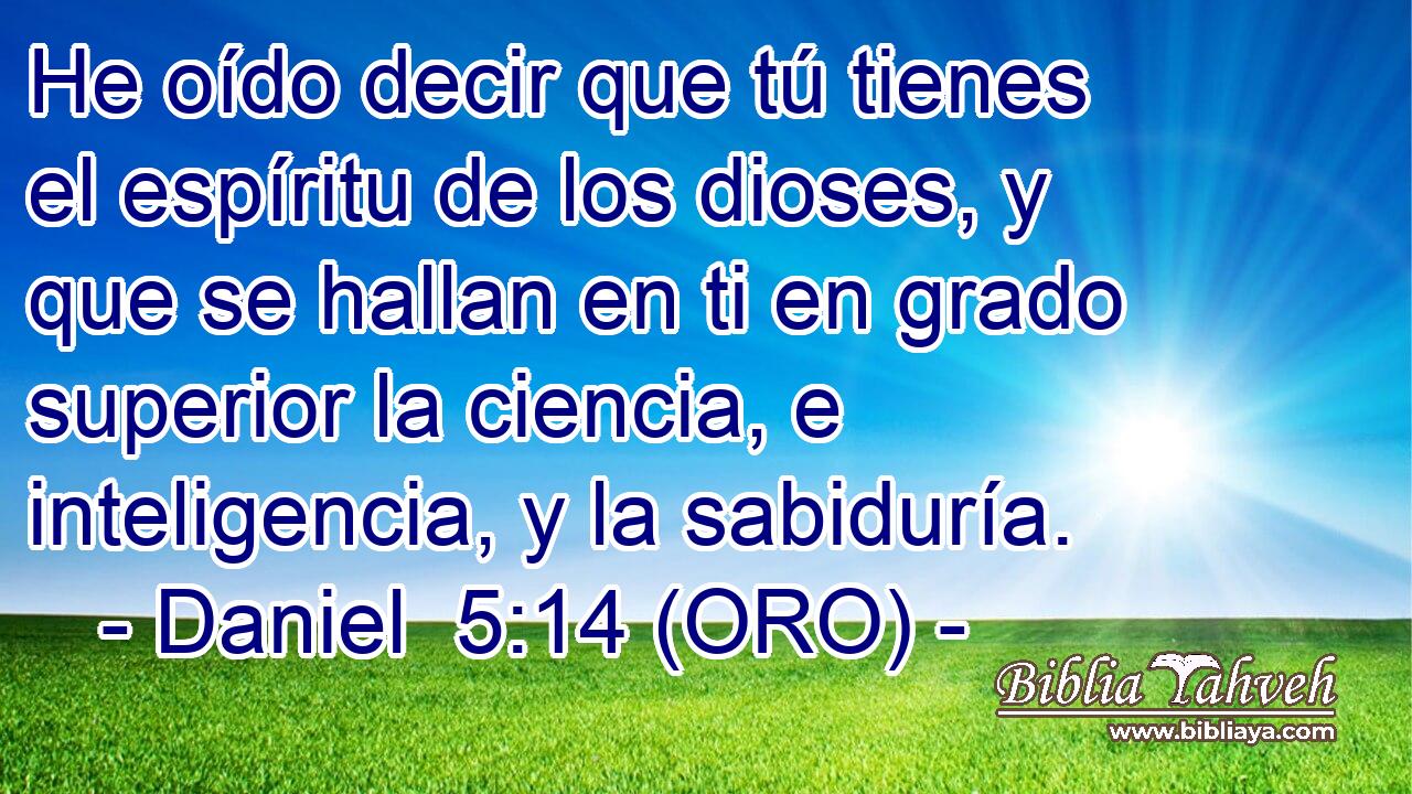  He oído decir que tú tienes el espíritu de los dioses, y que se hallan en ti en grado superior la ciencia, e inteligencia, y la sabiduría. 