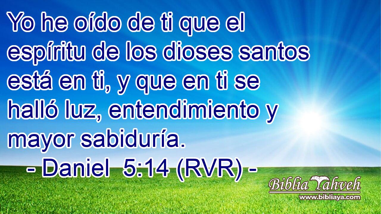 Yo he oído de ti que el espíritu de los dioses santos está en ti, y que en ti se halló luz, entendimiento y mayor sabiduría.