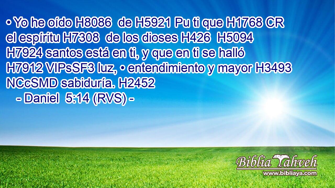 • Yo he oído H8086  de H5921 Pu ti que H1768 CR el espíritu H7308  de los dioses H426  H5094 H7924 santos está en ti, y que en ti se halló H7912 VIPsSF3 luz, • entendimiento y mayor H3493 NCcSMD sabiduría. H2452  