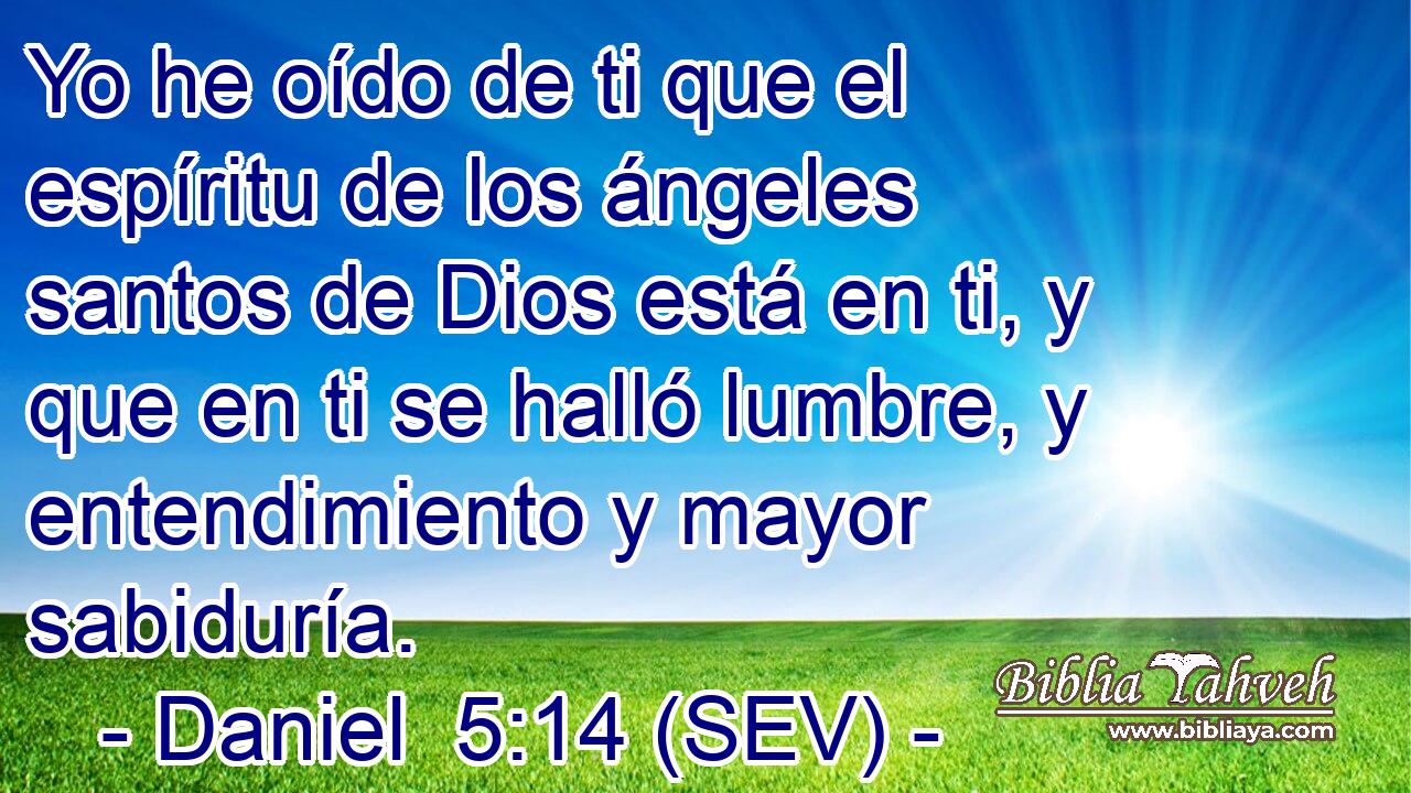 Yo he oído de ti que el espíritu de los ángeles santos de Dios está en ti, y que en ti se halló lumbre, y entendimiento y mayor sabiduría.